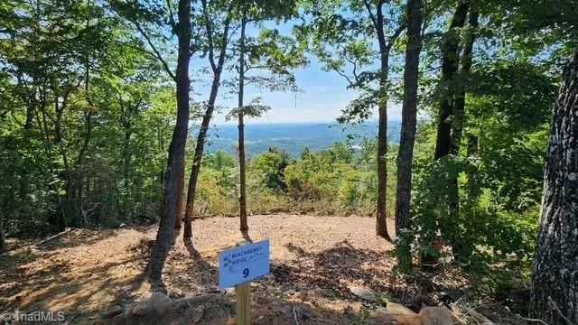Lot #9 Widow Mountain Drive McGrady, NC 28649