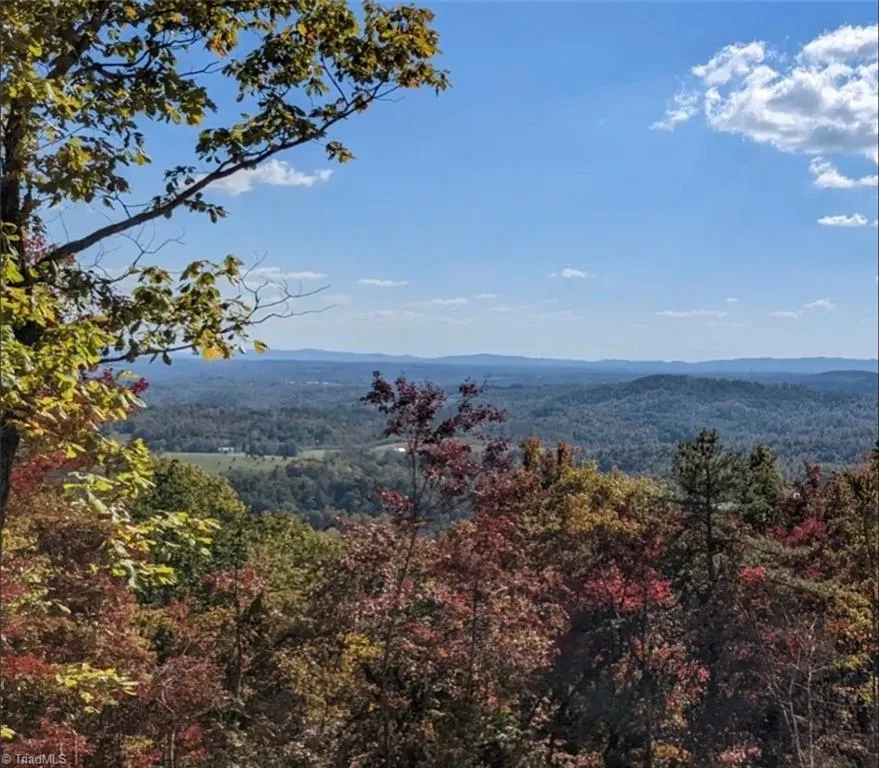 Lot #9 Widow Mountain Drive McGrady, NC 28649