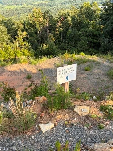 Lot #9 Widow Mountain Drive McGrady, NC 28649