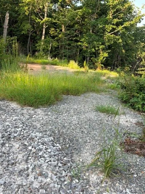 Lot #9 Widow Mountain Drive McGrady, NC 28649