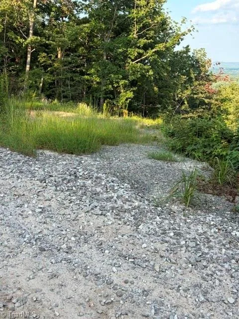 Lot #9 Widow Mountain Drive McGrady, NC 28649