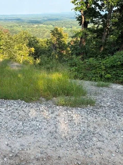 Lot #9 Widow Mountain Drive McGrady, NC 28649