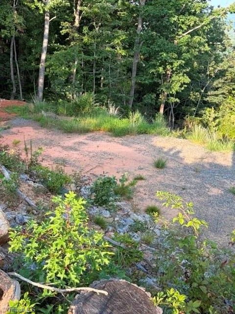 Lot #9 Widow Mountain Drive McGrady, NC 28649