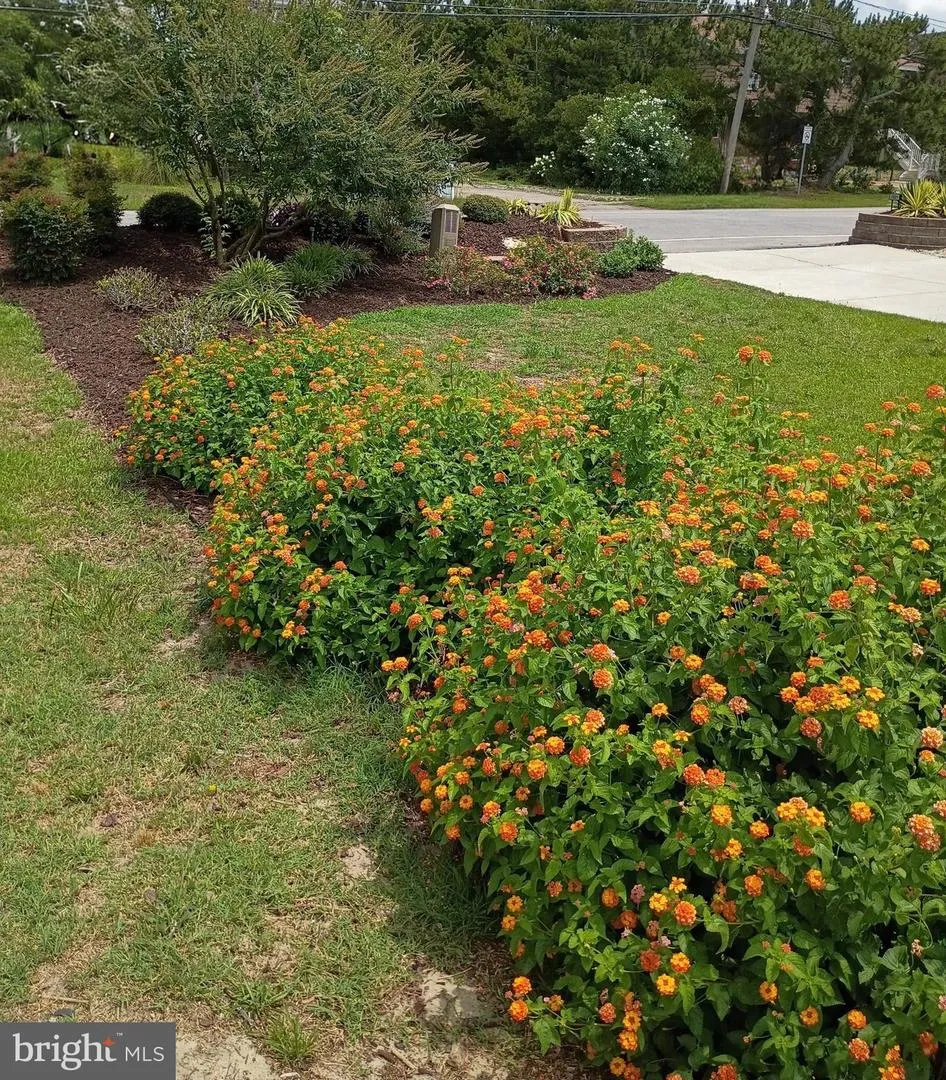 3521 SANDPIPER ROAD Virginia Beach, VA 23456