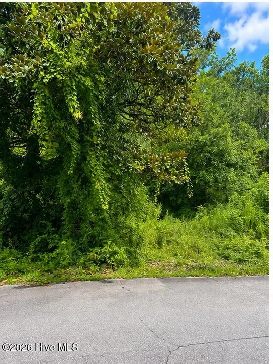 110 Darden Street Jacksonville, NC 28540