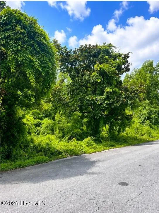 110 Darden Street Jacksonville, NC 28540