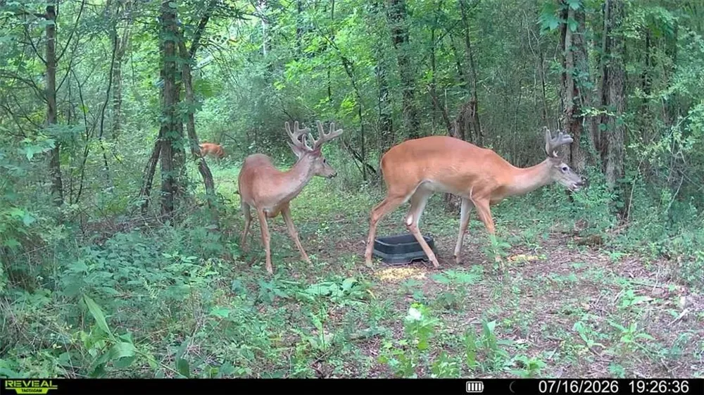 4619 S Highway 341 Chickamauga, GA 30707
