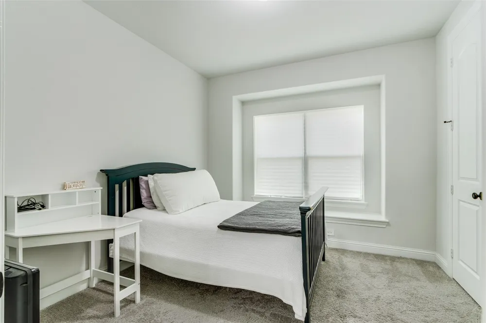 129 Mint Marigold Drive Wylie, TX 75098