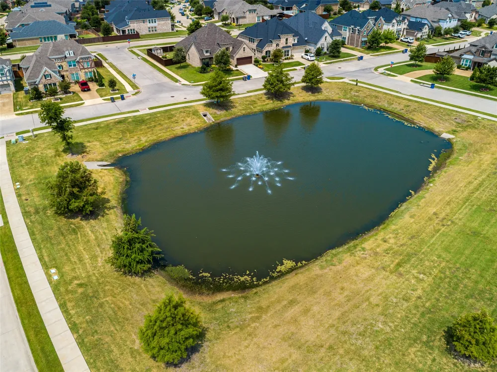 129 Mint Marigold Drive Wylie, TX 75098