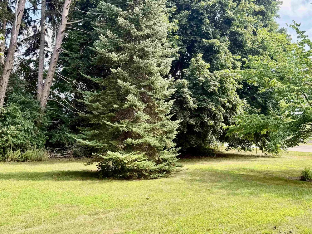 717 E Saginaw Street Breckenridge Village, MI 48615