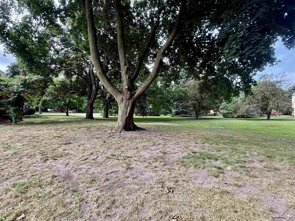 717 E Saginaw Street Breckenridge Village, MI 48615