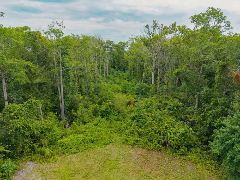 150 PIONEER TRAIL Green Cove Springs, FL 32043