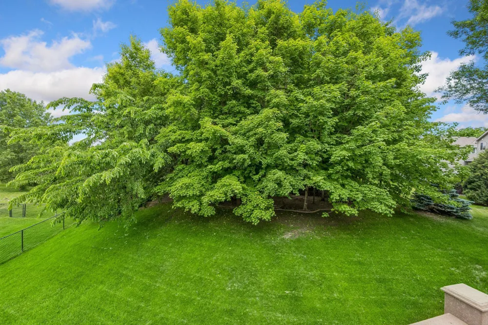 680 Kayla Lane Hanover, MN 55341