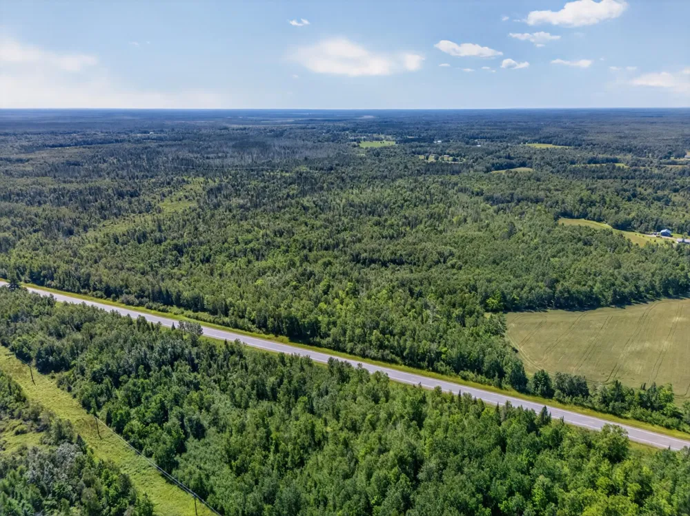 12502 Van Horn Road Floodwood, MN 55736