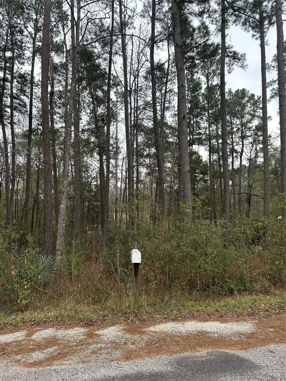 4 Yolanda Street Huntsville, TX 77320