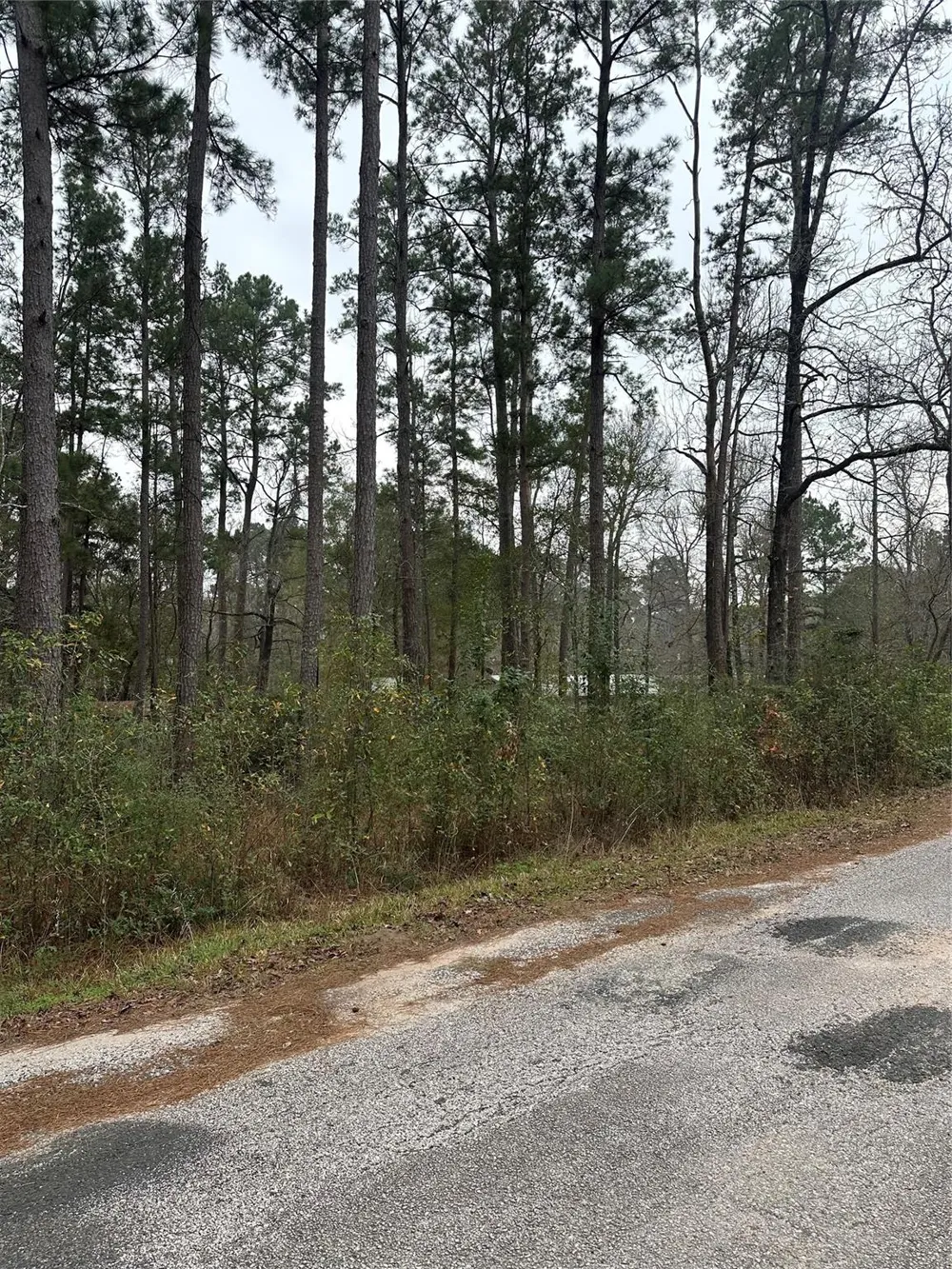 4 Yolanda Street Huntsville, TX 77320