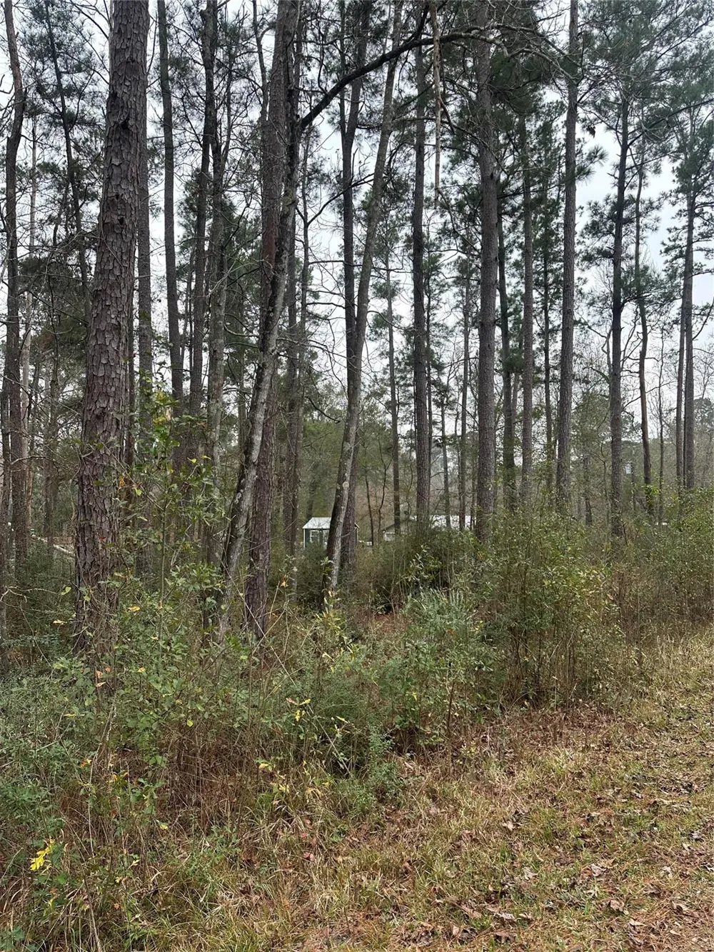 4 Yolanda Street Huntsville, TX 77320