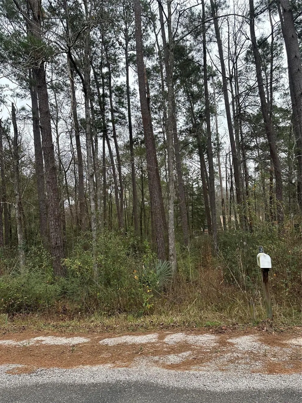 4 Yolanda Street Huntsville, TX 77320
