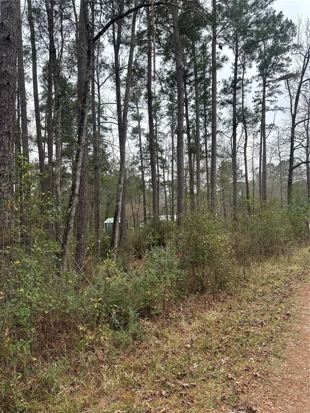 4 Yolanda Street Huntsville, TX 77320