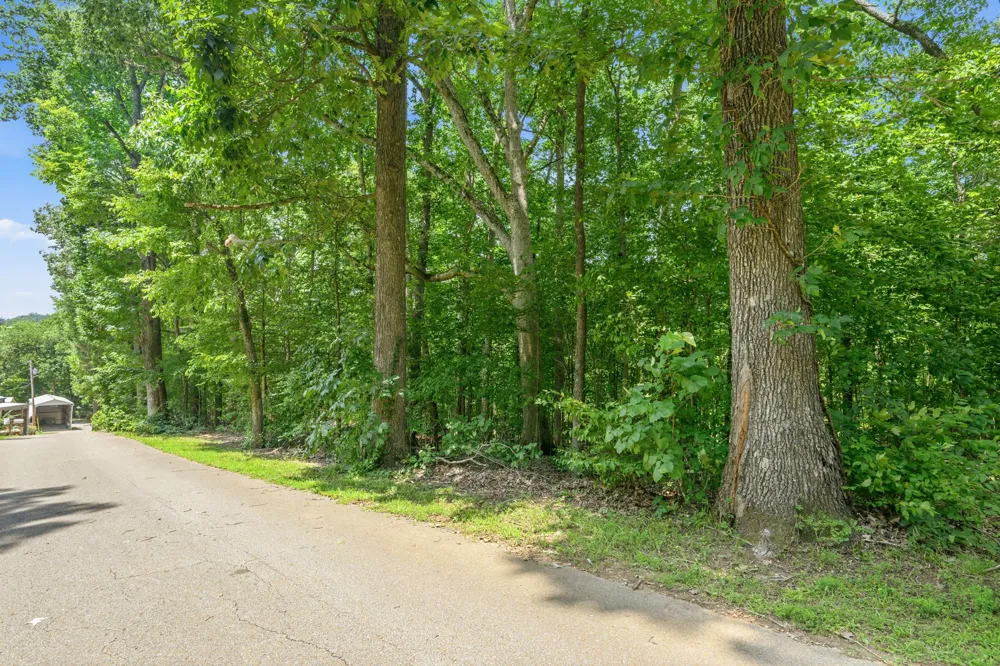 681 Attaway Ln Bath Springs, TN 38311
