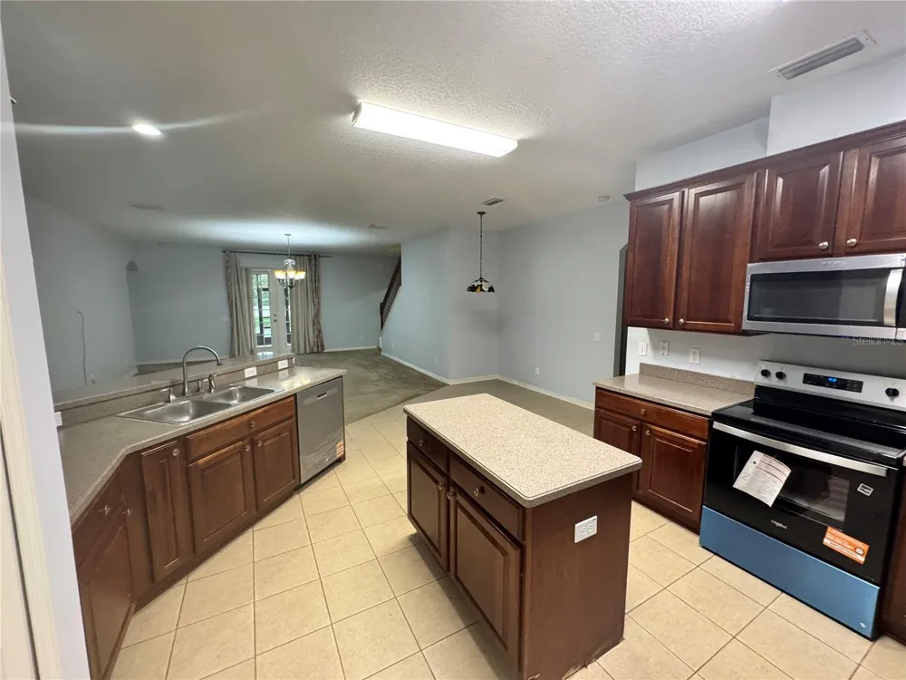 6823 GREEN HERON DRIVE Wesley Chapel, FL 33545