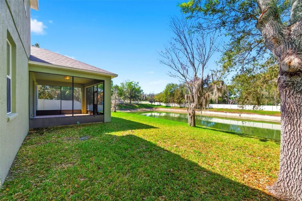 6823 GREEN HERON DRIVE Wesley Chapel, FL 33545