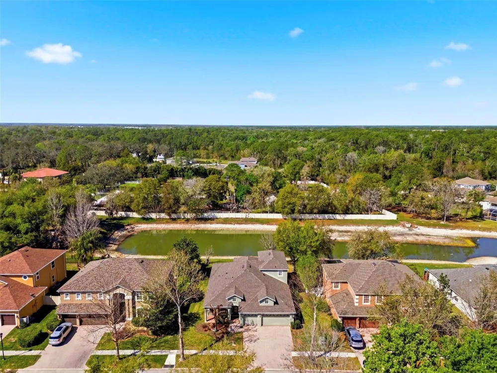 6823 GREEN HERON DRIVE Wesley Chapel, FL 33545