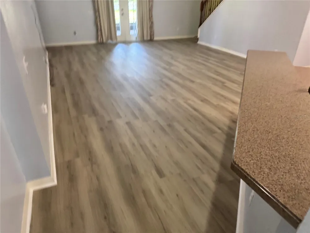 6823 GREEN HERON DRIVE Wesley Chapel, FL 33545