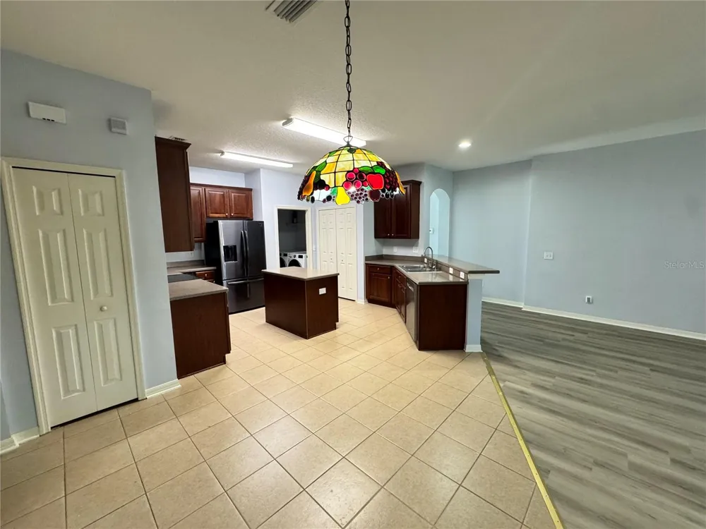 6823 GREEN HERON DRIVE Wesley Chapel, FL 33545