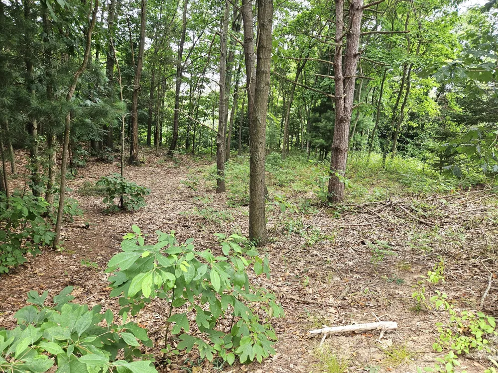38050 78th Street Covert Township, MI 49043