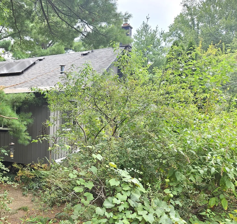 38050 78th Street Covert Township, MI 49043