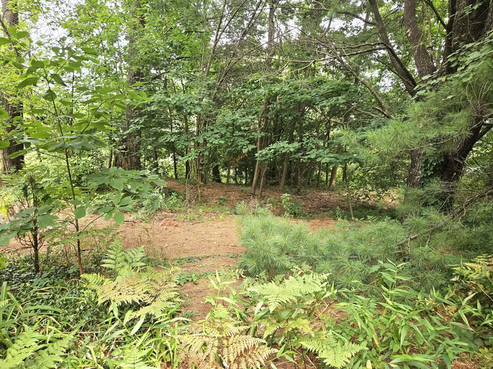 38050 78th Street Covert Township, MI 49043