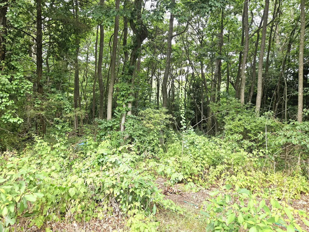 38050 78th Street Covert Township, MI 49043