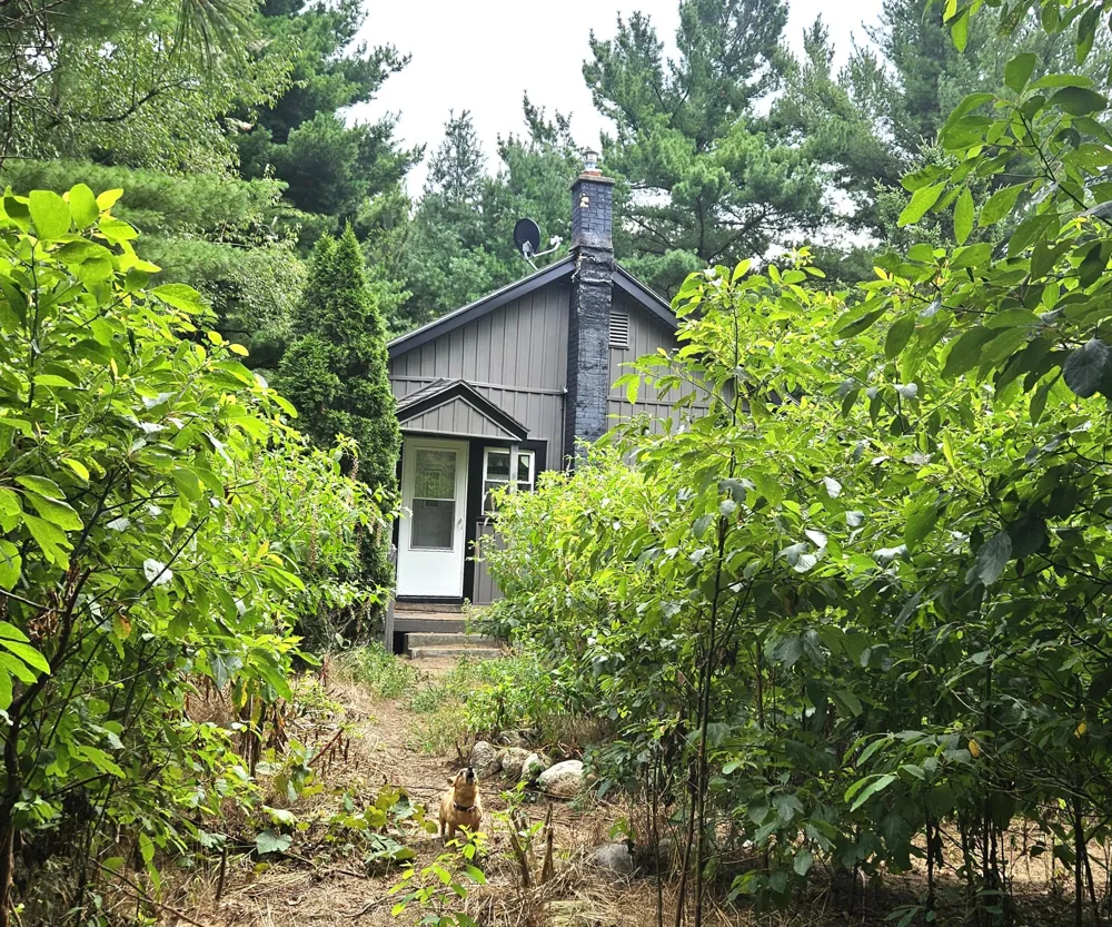 38050 78th Street Covert Township, MI 49043