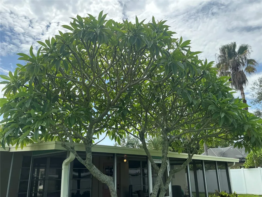 7360 111TH STREET Seminole, FL 33772