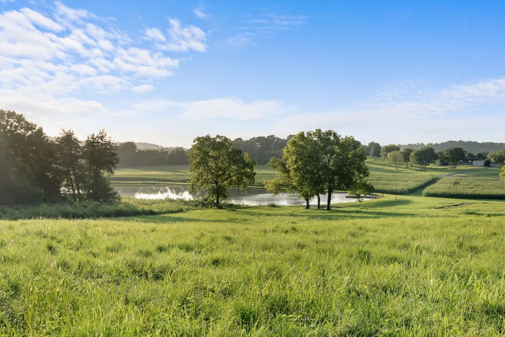 2942 Newman Rd Ardmore, TN 38449