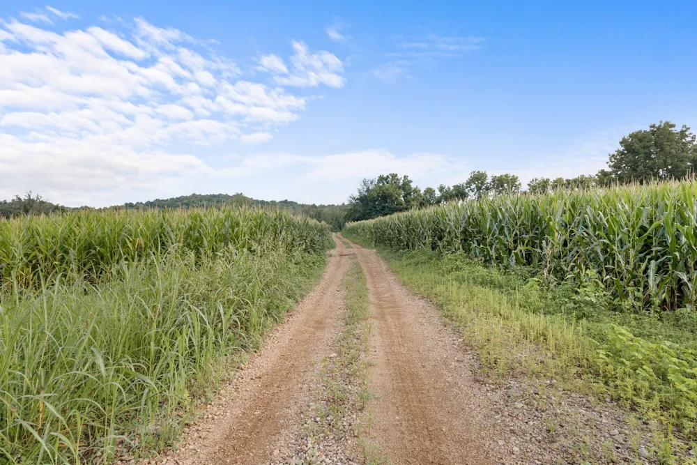 2942 Newman Rd Ardmore, TN 38449