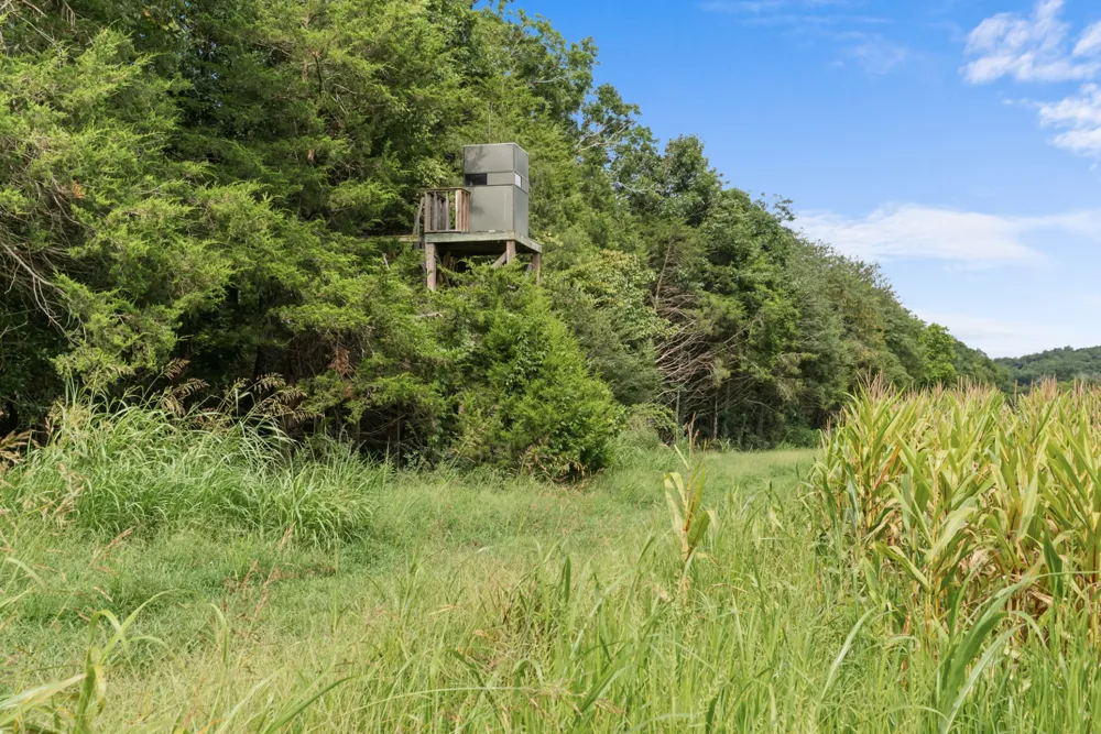 2942 Newman Rd Ardmore, TN 38449