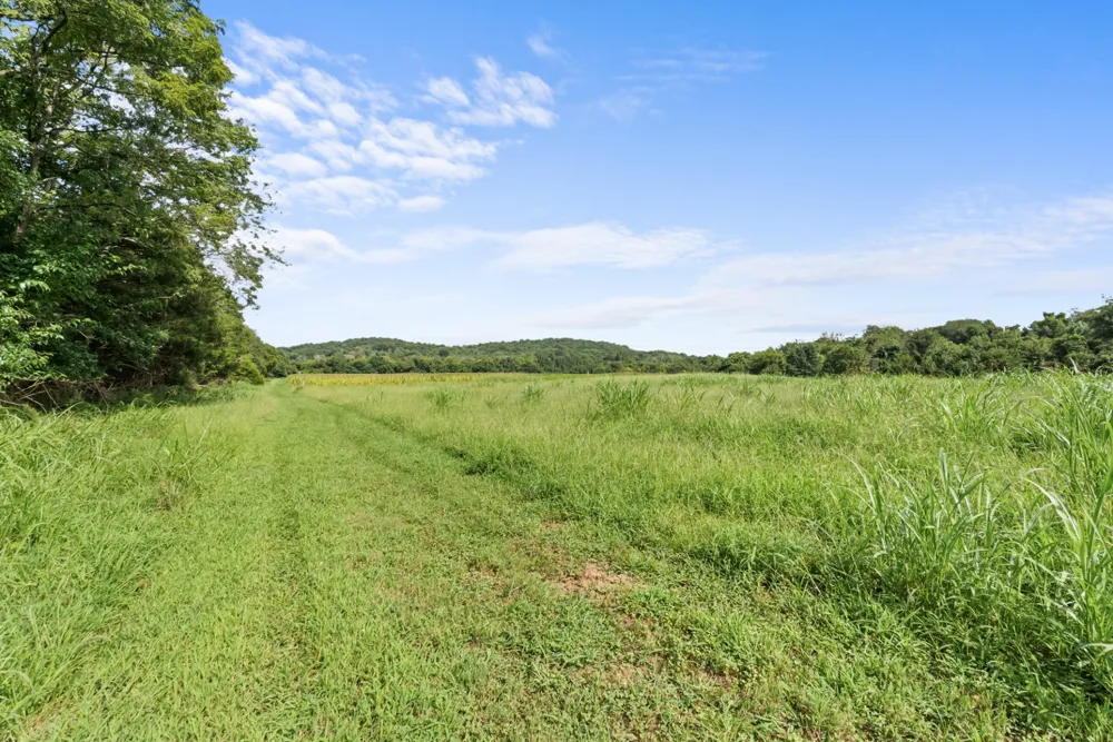 2942 Newman Rd Ardmore, TN 38449