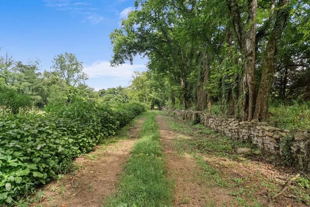 2942 Newman Rd Ardmore, TN 38449