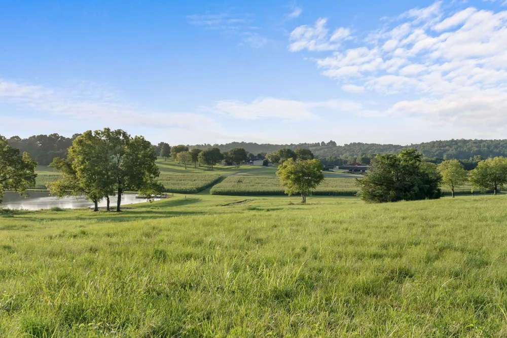 2942 Newman Rd Ardmore, TN 38449