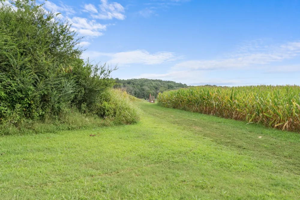 2942 Newman Rd Ardmore, TN 38449