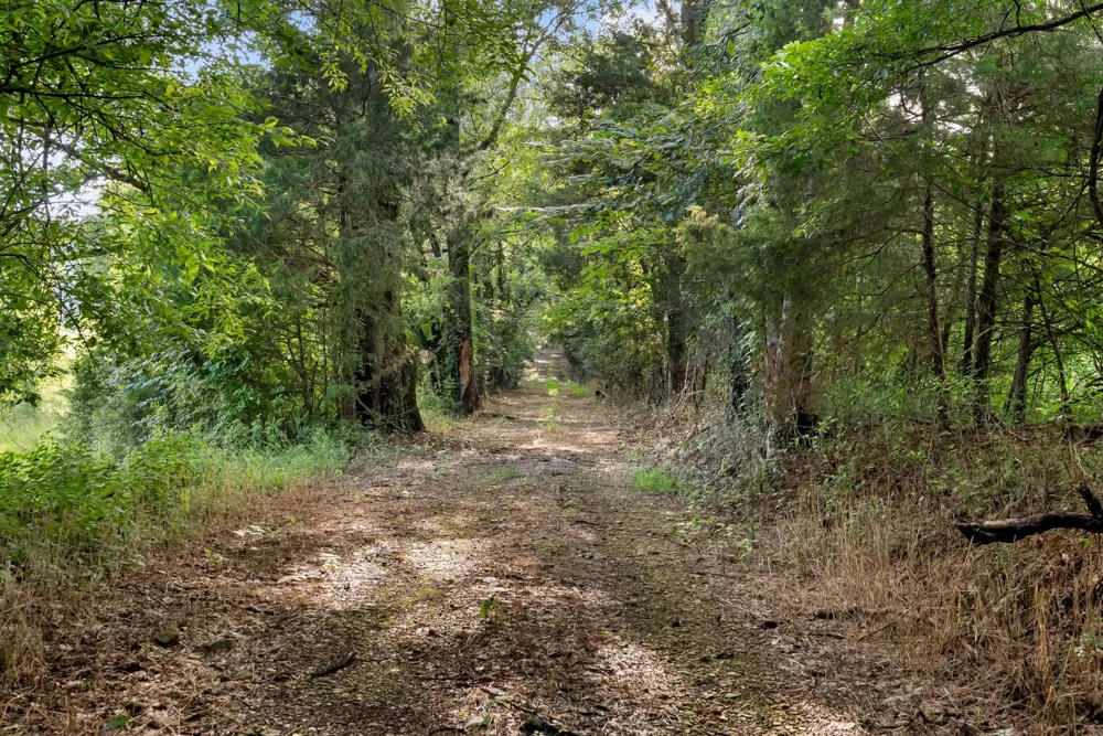 2942 Newman Rd Ardmore, TN 38449