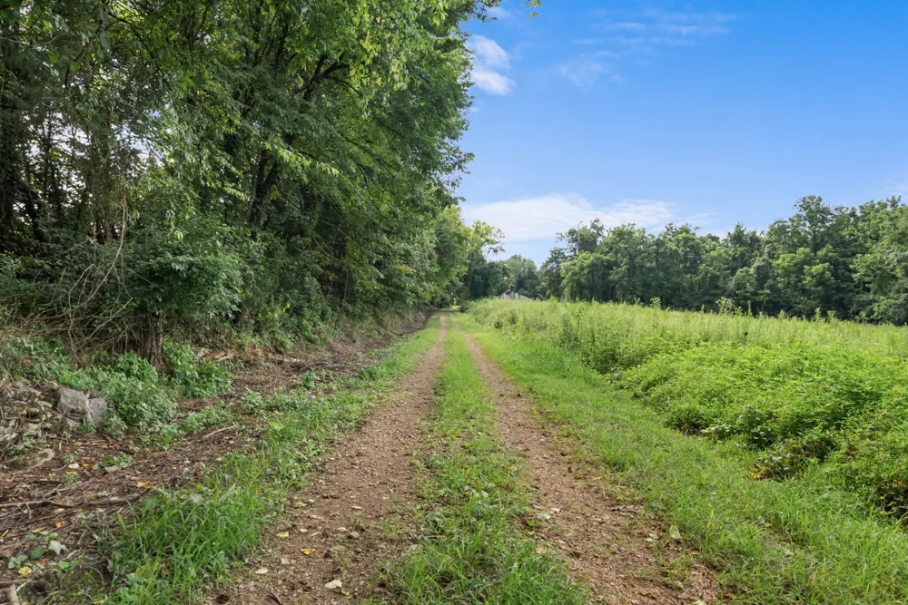 2942 Newman Rd Ardmore, TN 38449