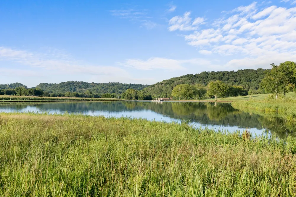 2942 Newman Rd Ardmore, TN 38449