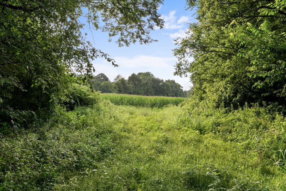 2942 Newman Rd Ardmore, TN 38449