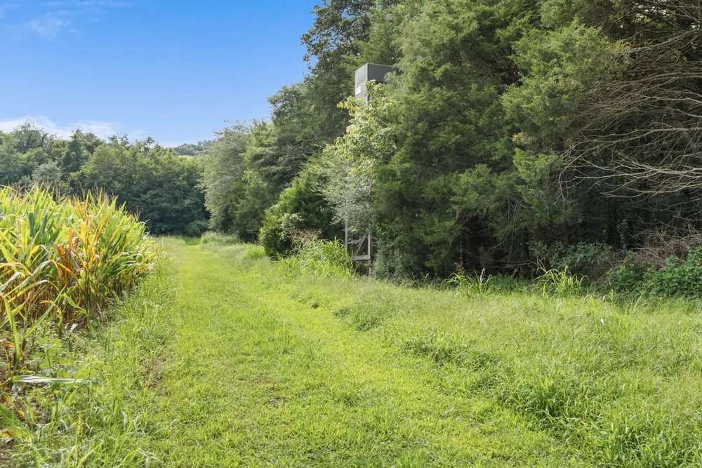 2942 Newman Rd Ardmore, TN 38449