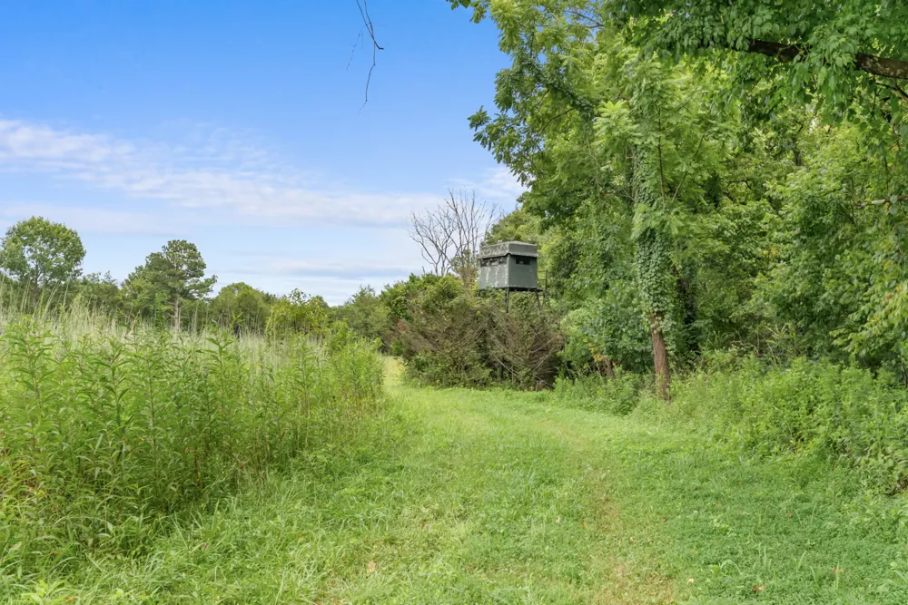 2942 Newman Rd Ardmore, TN 38449