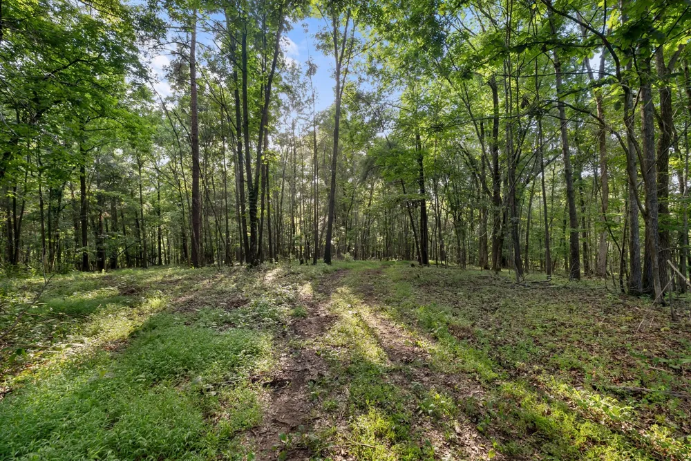 2942 Newman Rd Ardmore, TN 38449