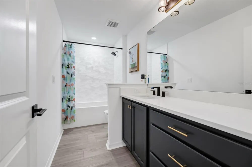 17018 SEVILLE ORANGE ROAD Winter Garden, FL 34787